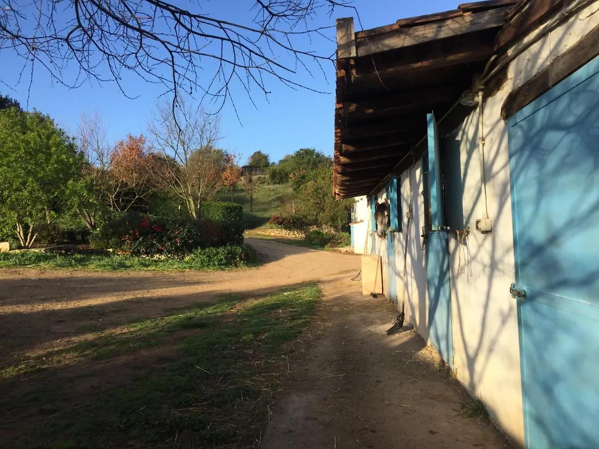 Bed & Breakfast B&B Badde Cubas Usini