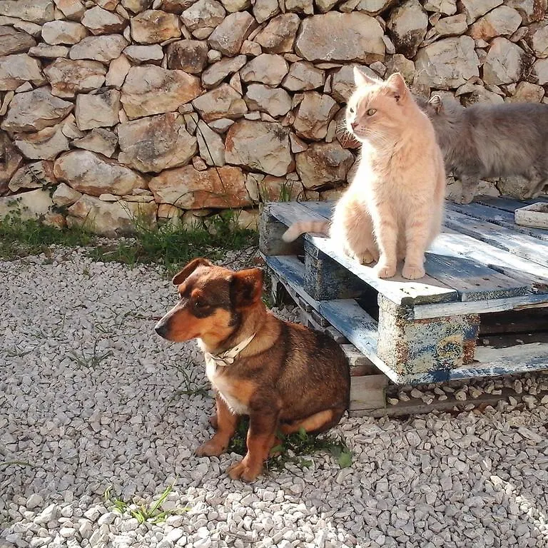 B&B Badde Cubas Usini Italy